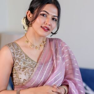 Blush Pink Organza Saree with Gold Embroidery